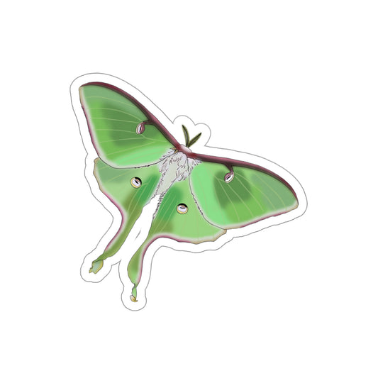 Chitin Nature Die-Cut Stickers, 2"x2", 3"x3" Sizes | Luna Moth Promo Stickers